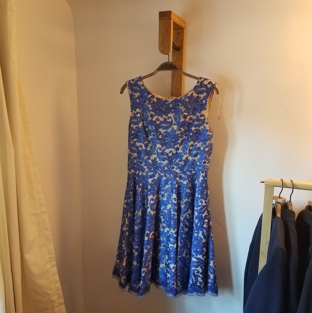 Eliza J Royal Blue Lace A-Line Knee-Length Dress - Picture 2 of 5